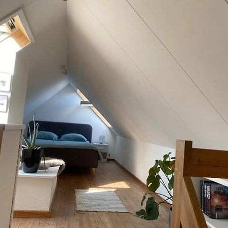 Christina Apartman Aalbor Kültér fotó
